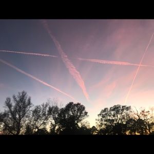 Meet your Posher, Shantrice